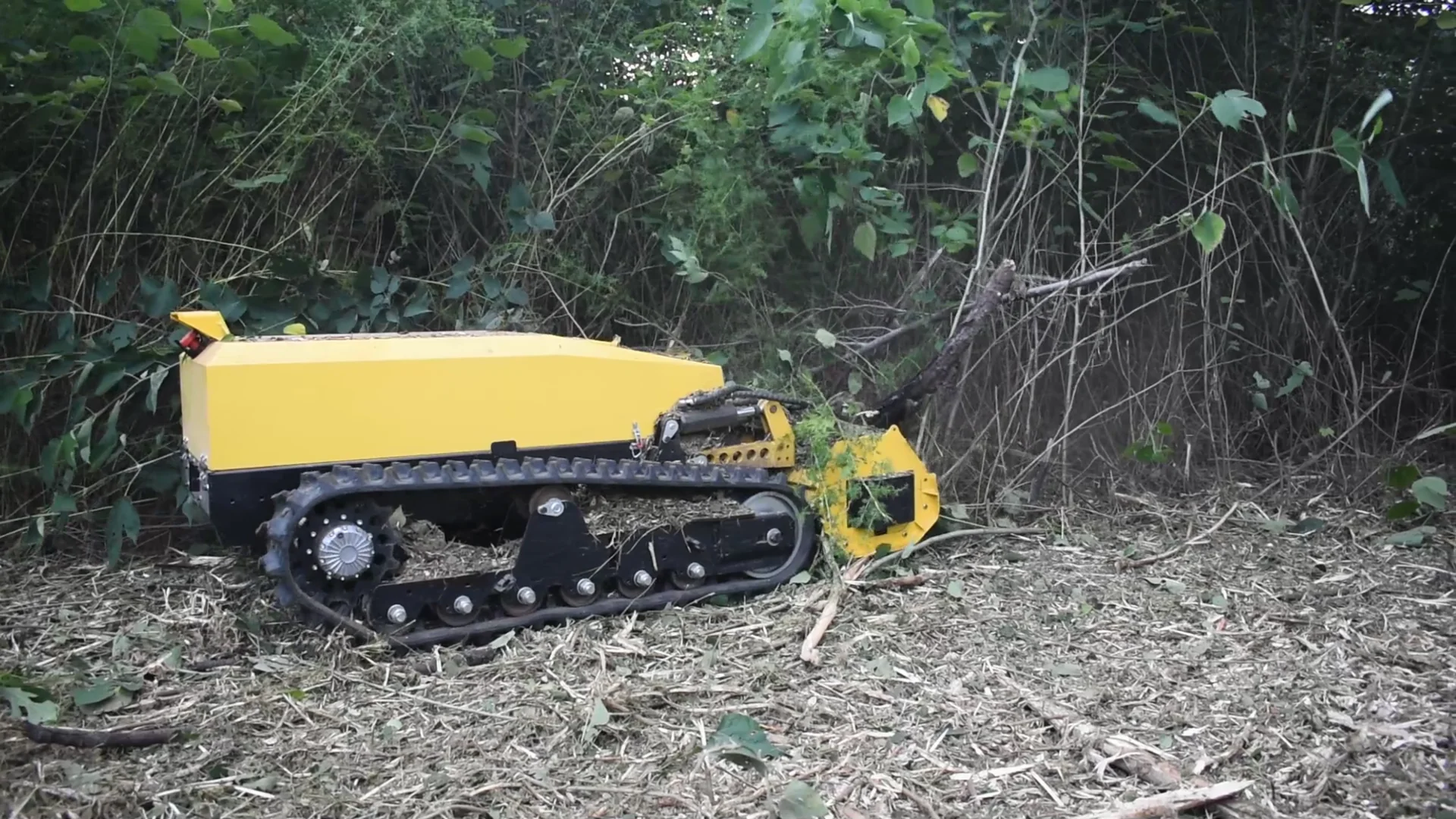 Yellow tracked brush cutter at the edge of dense vegetation.